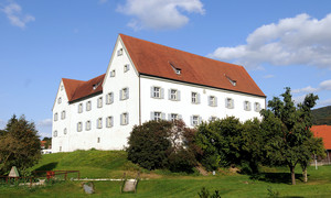 Wasseralfinger Schlossfest